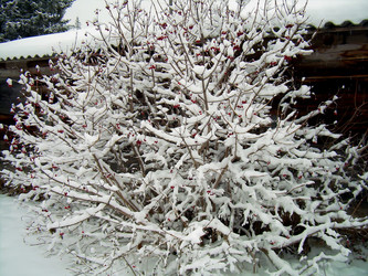 Similar image 21767746