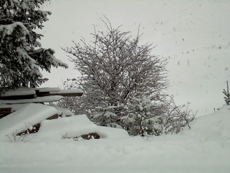 Similar image 21767747