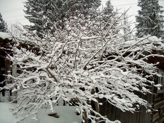 Similar image 21767748