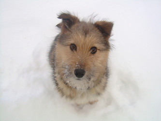 Similar image 21767749