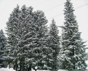 Similar image 21767750