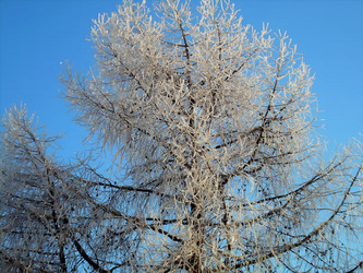 Similar image 21767751