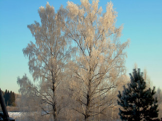 Similar image 21767753