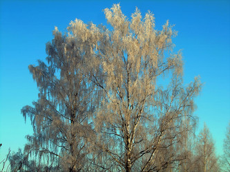 Similar image 21767754