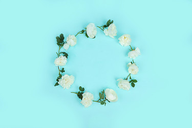 Similar image 21767757