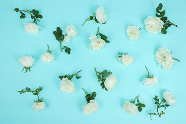 Similar image 21767760