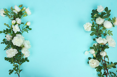 Similar image 21767761