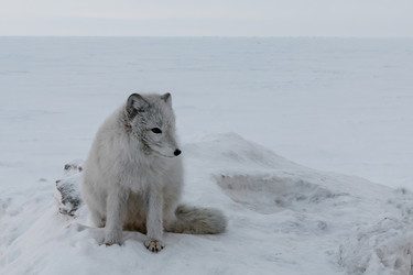 Similar image 21767994