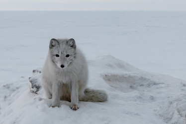 Similar image 21767996