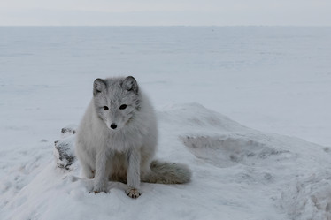 Similar image 21767998