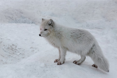 Similar image 21768002