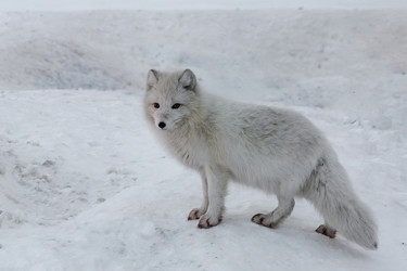 Similar image 21768004