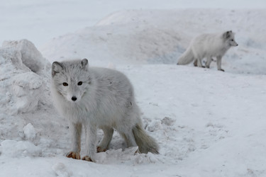 Similar image 21768302