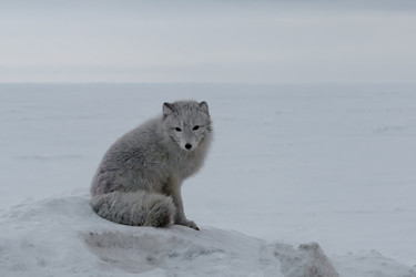 Similar image 21768312