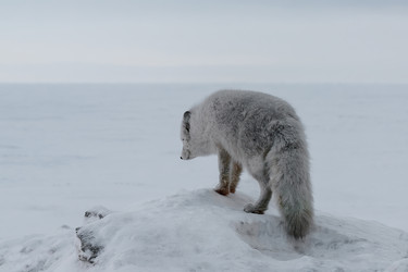 Similar image 21768314