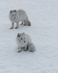 Similar image 21768316