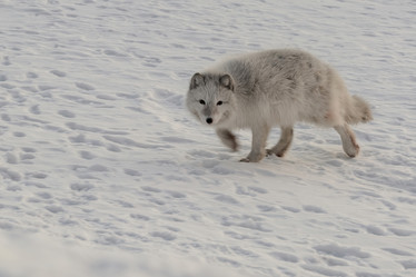 Similar image 21768324