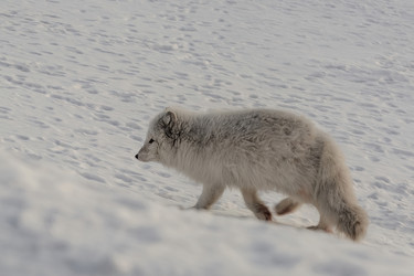 Similar image 21768325