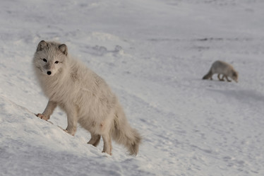 Similar image 21768326