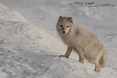 Similar image 21768328