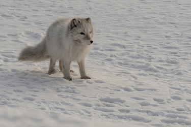 Similar image 21768329