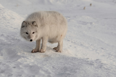 Similar image 21768336