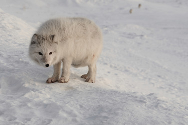 Similar image 21768338