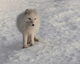 Similar image 21768339