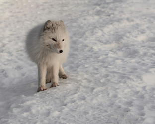 Similar image 21768340