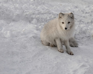 Similar image 21768342