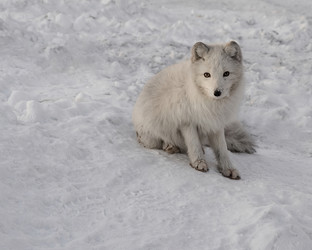 Similar image 21768343