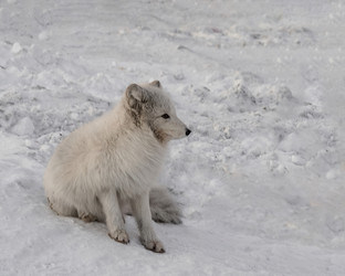 Similar image 21768344