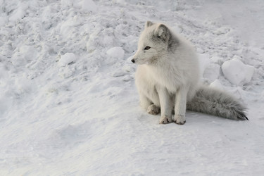 Similar image 21768347