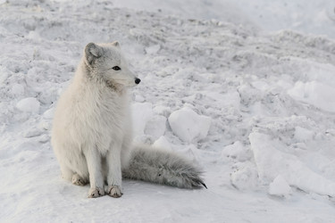 Similar image 21768348