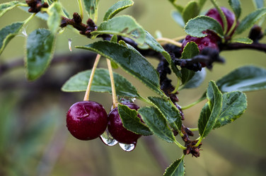 Similar image 21767385