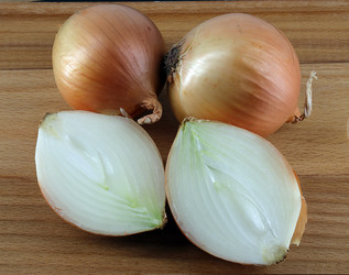 Similar image 21767774