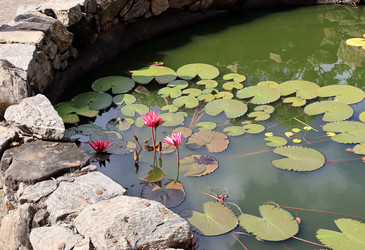 Similar image 21767777