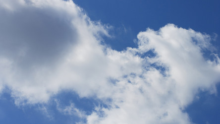 Similar image 21768019