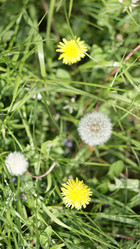 Similar image 21768022