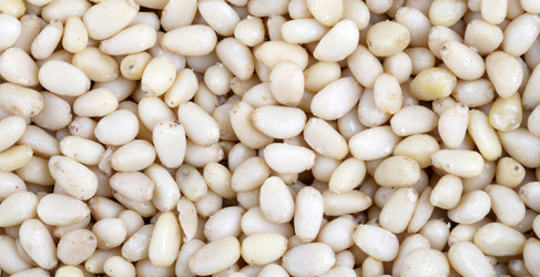 Similar image 21768026