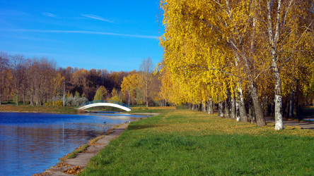 Similar image 21768031