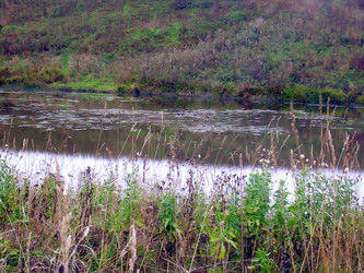 Similar image 21767781