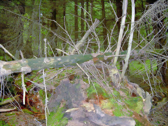 Similar image 21767782