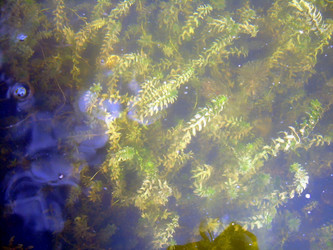 Similar image 21767784