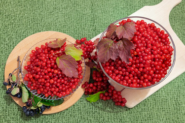 Similar image 21768881