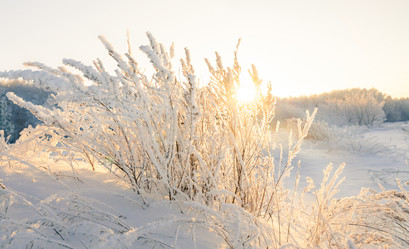 Similar image 21768887