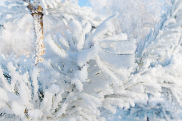 Similar image 21767825