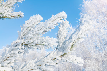 Similar image 21768889