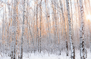 Similar image 21768890