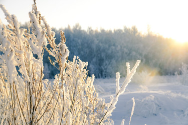 Similar image 21768443